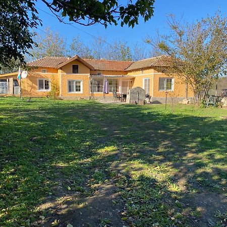 Ferienhaus Primorska Sunshine In Strandnaehe Shabla Dış mekan fotoğraf
