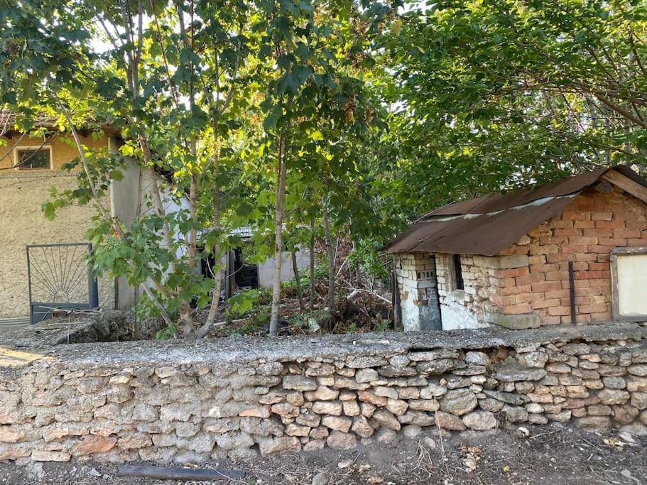 Ferienhaus Primorska Sunshine In Strandnaehe Shabla Dış mekan fotoğraf