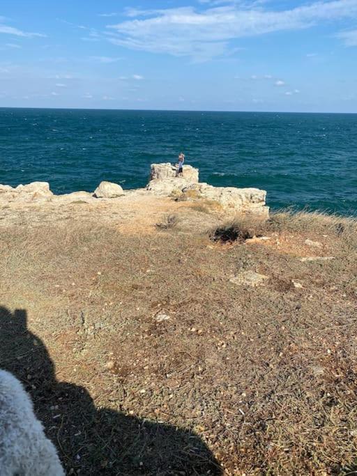 Ferienhaus Primorska Sunshine In Strandnaehe Shabla Dış mekan fotoğraf