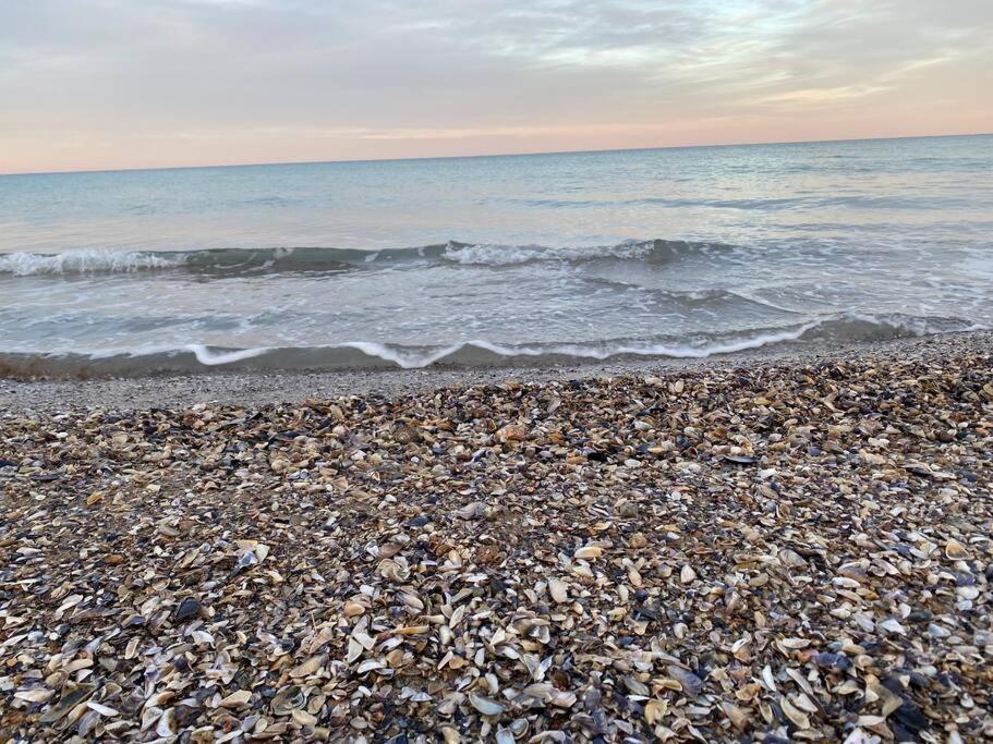 Ferienhaus Primorska Sunshine In Strandnaehe Shabla Dış mekan fotoğraf