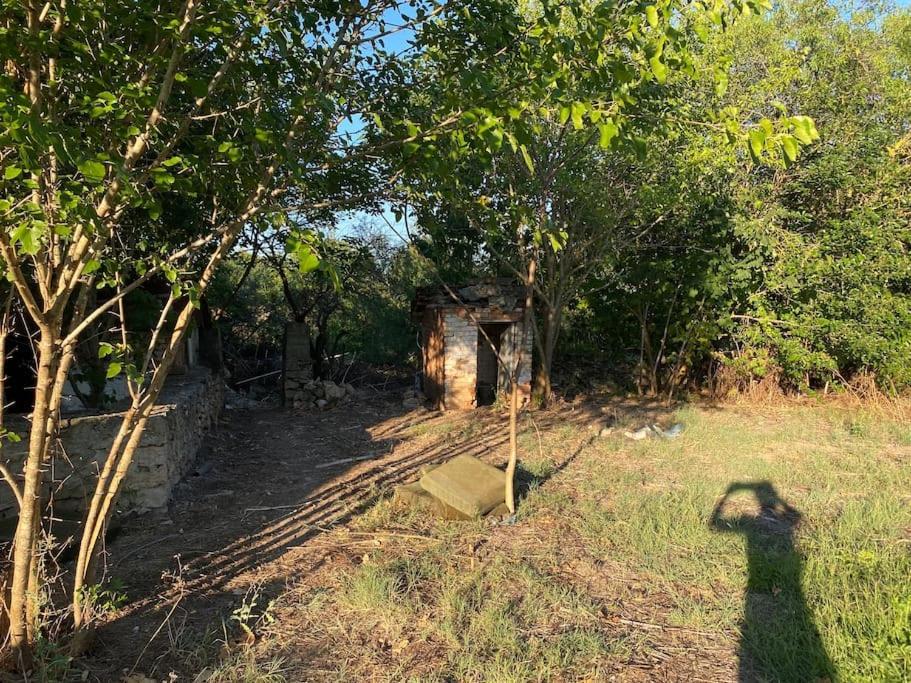 Ferienhaus Primorska Sunshine In Strandnaehe Shabla Dış mekan fotoğraf