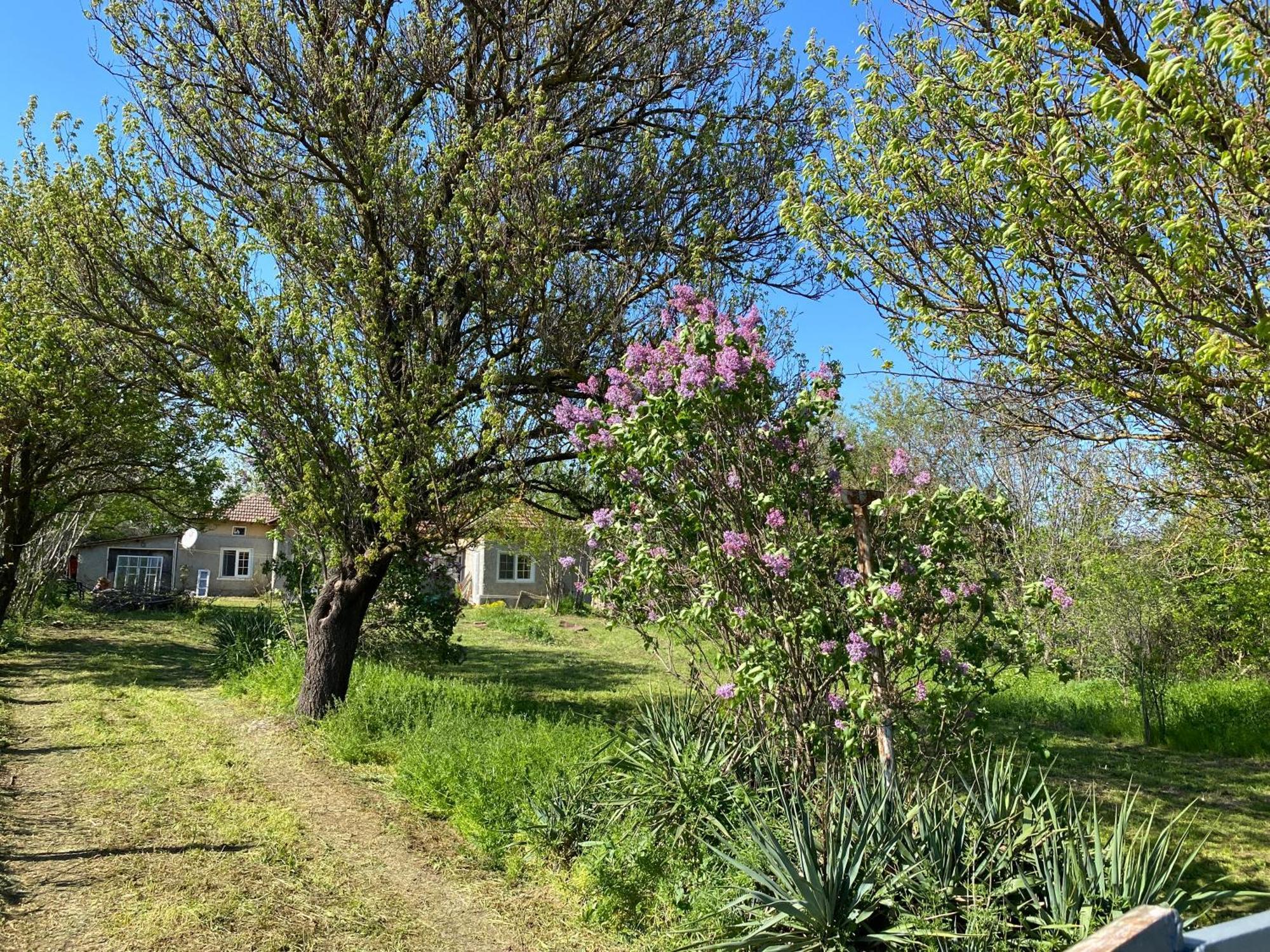 Ferienhaus Primorska Sunshine In Strandnaehe Shabla Dış mekan fotoğraf
