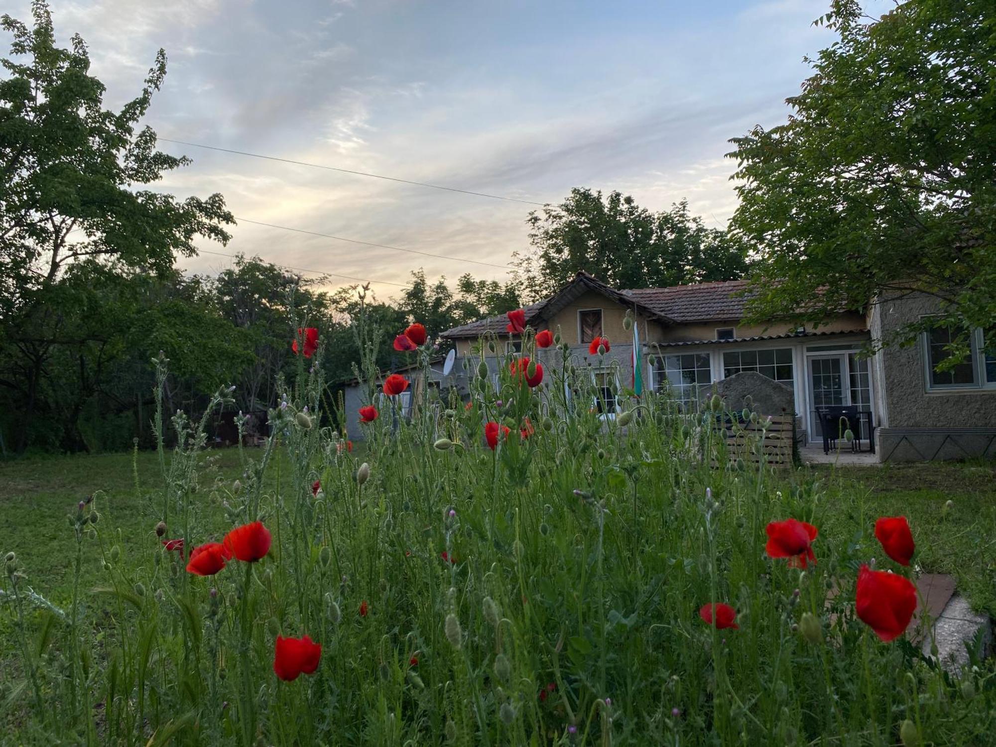 Ferienhaus Primorska Sunshine In Strandnaehe Shabla Dış mekan fotoğraf